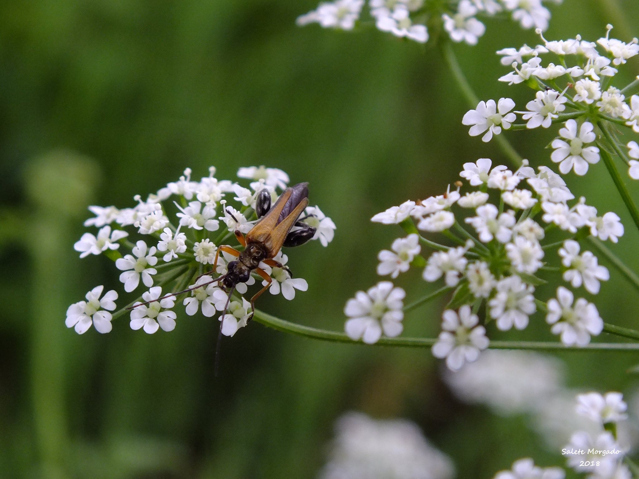 Fujifilm FinePix HS30EXR sample photo. Nature photography