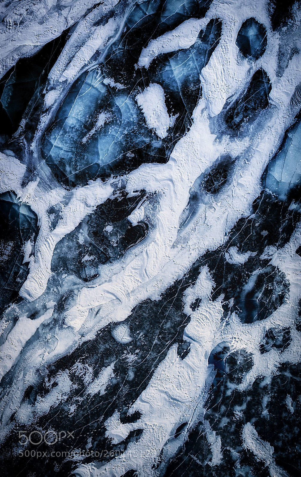DJI FC6310 sample photo. "veins" photography