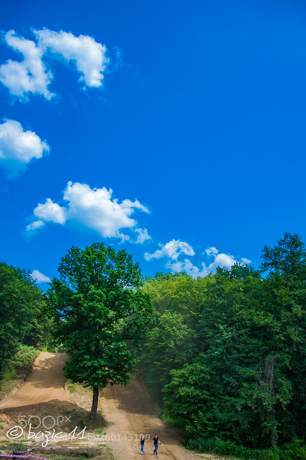 Nikon D90 sample photo. Tree photography