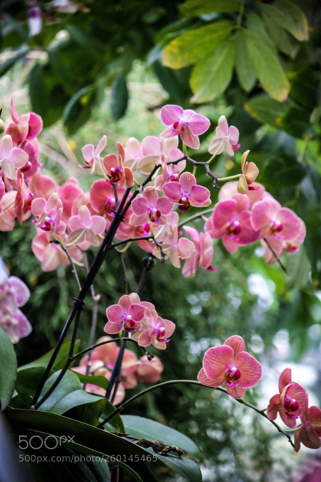 Fujifilm X-T10 sample photo. Untitled photography