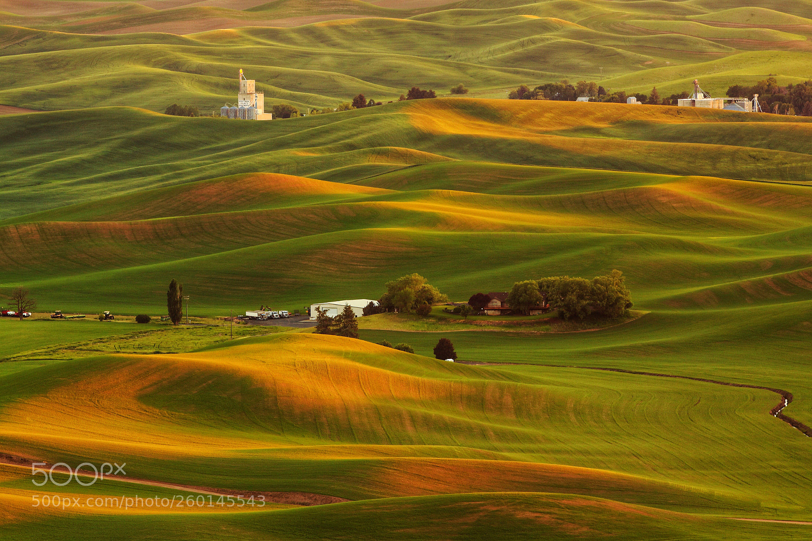 Canon EOS 50D sample photo. The rolling hills of photography