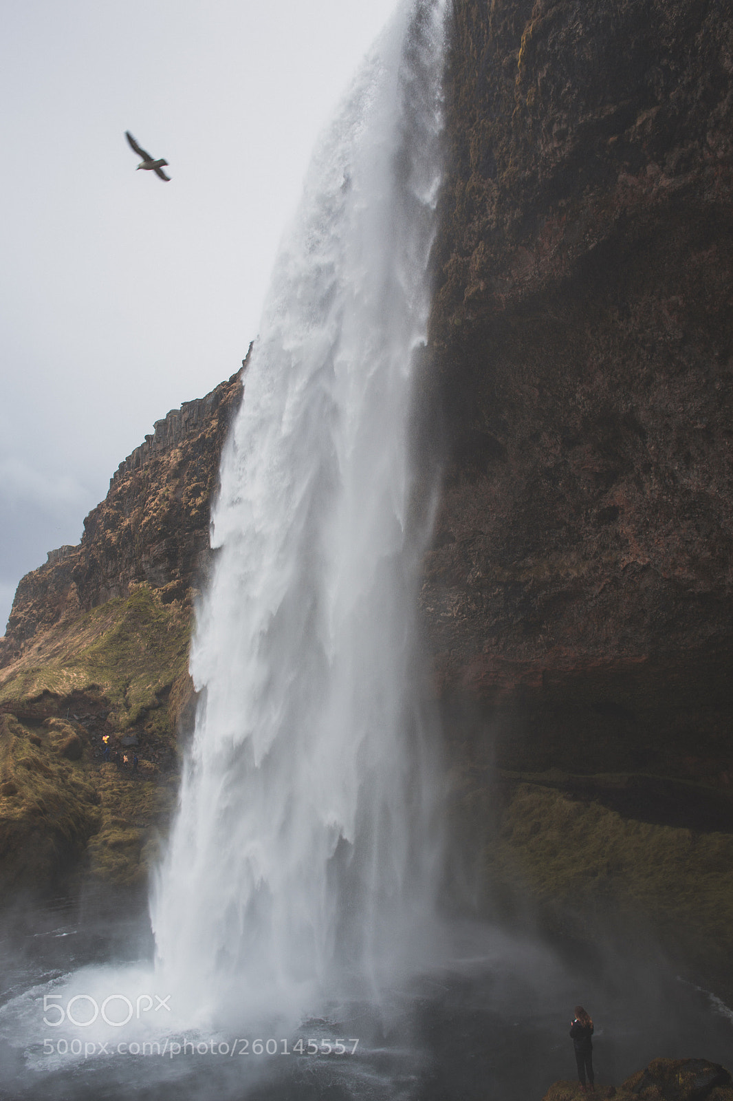 Canon EOS 6D sample photo. Seljalandsfoss photography