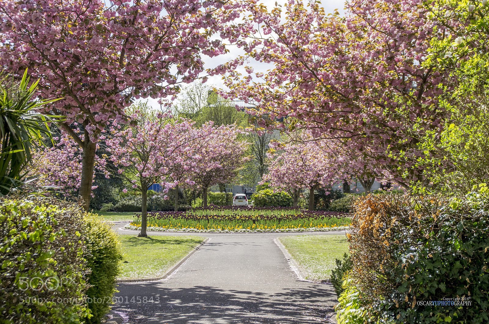 Pentax K-5 sample photo. What a wonderful spring photography
