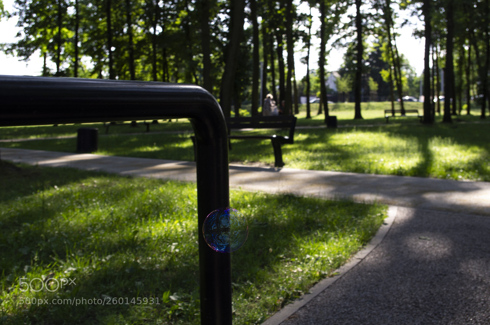 Pentax K-r sample photo. Soap bubble photography