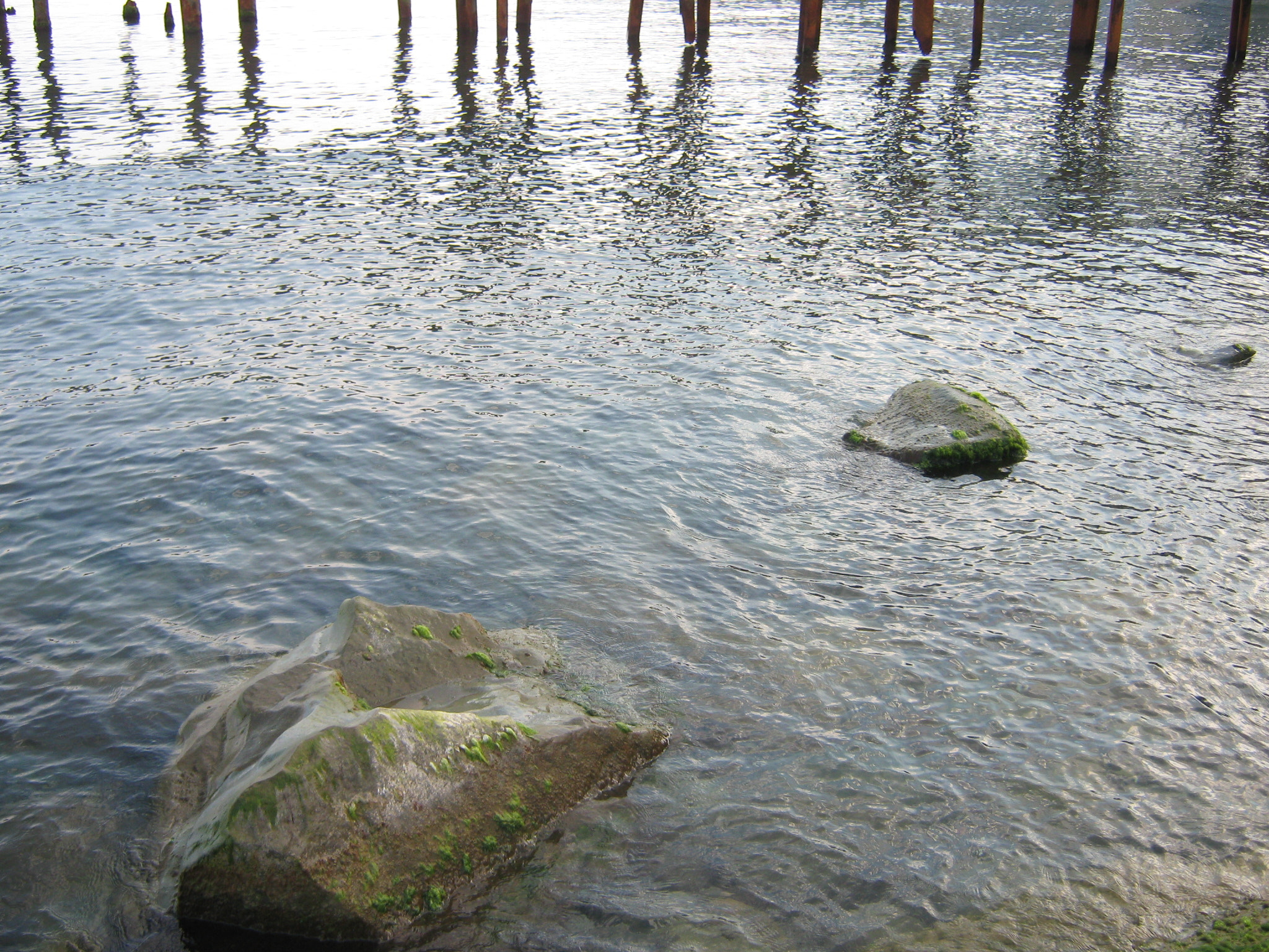 Canon PowerShot A470 sample photo. Img photography