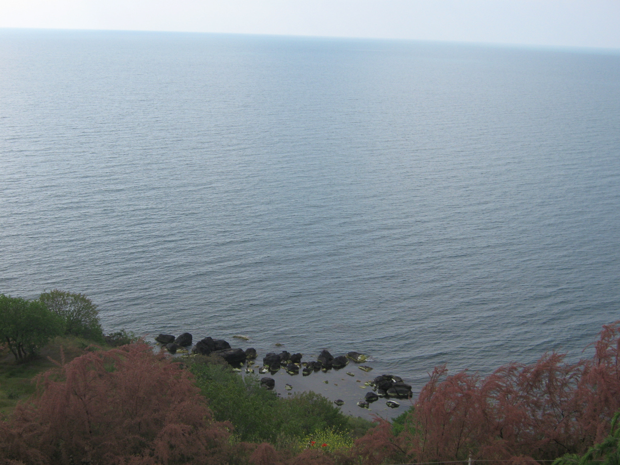 Canon PowerShot A470 sample photo. Img photography