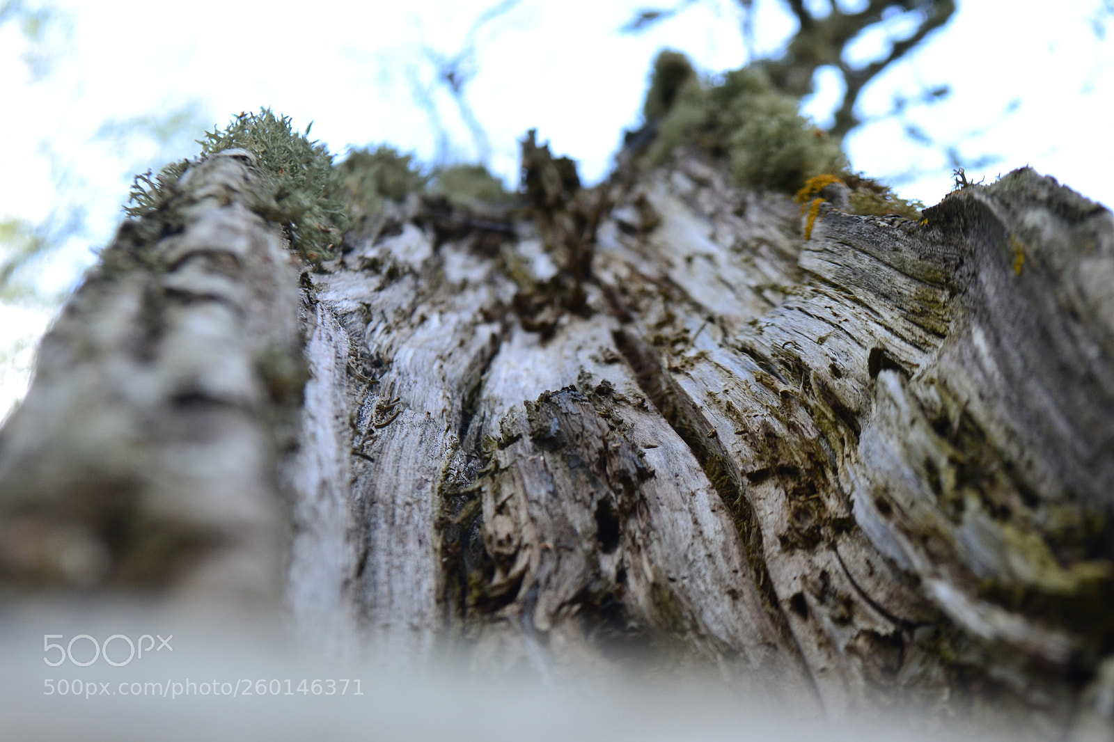 Nikon D3100 sample photo. Split by lightning photography