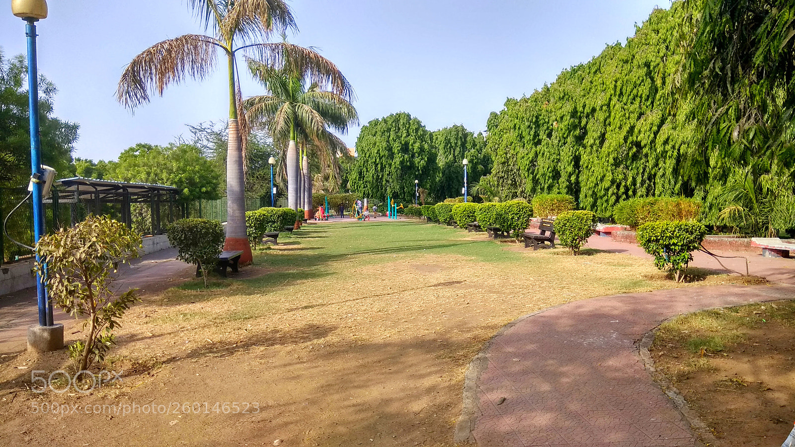 Xiaomi Redmi Note 4 sample photo. Gk photography