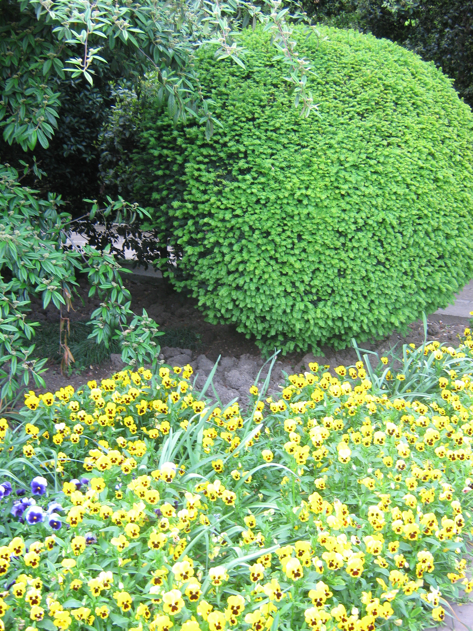 Canon PowerShot A470 sample photo. Img photography