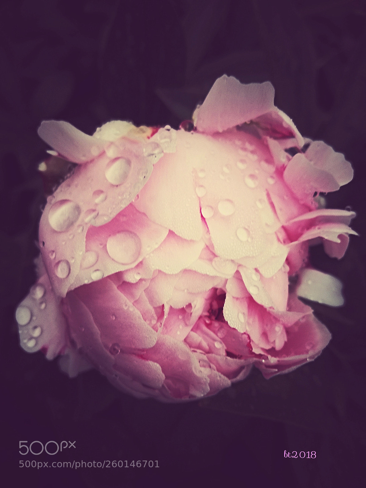 HUAWEI P9 LITE sample photo. Untitled photography