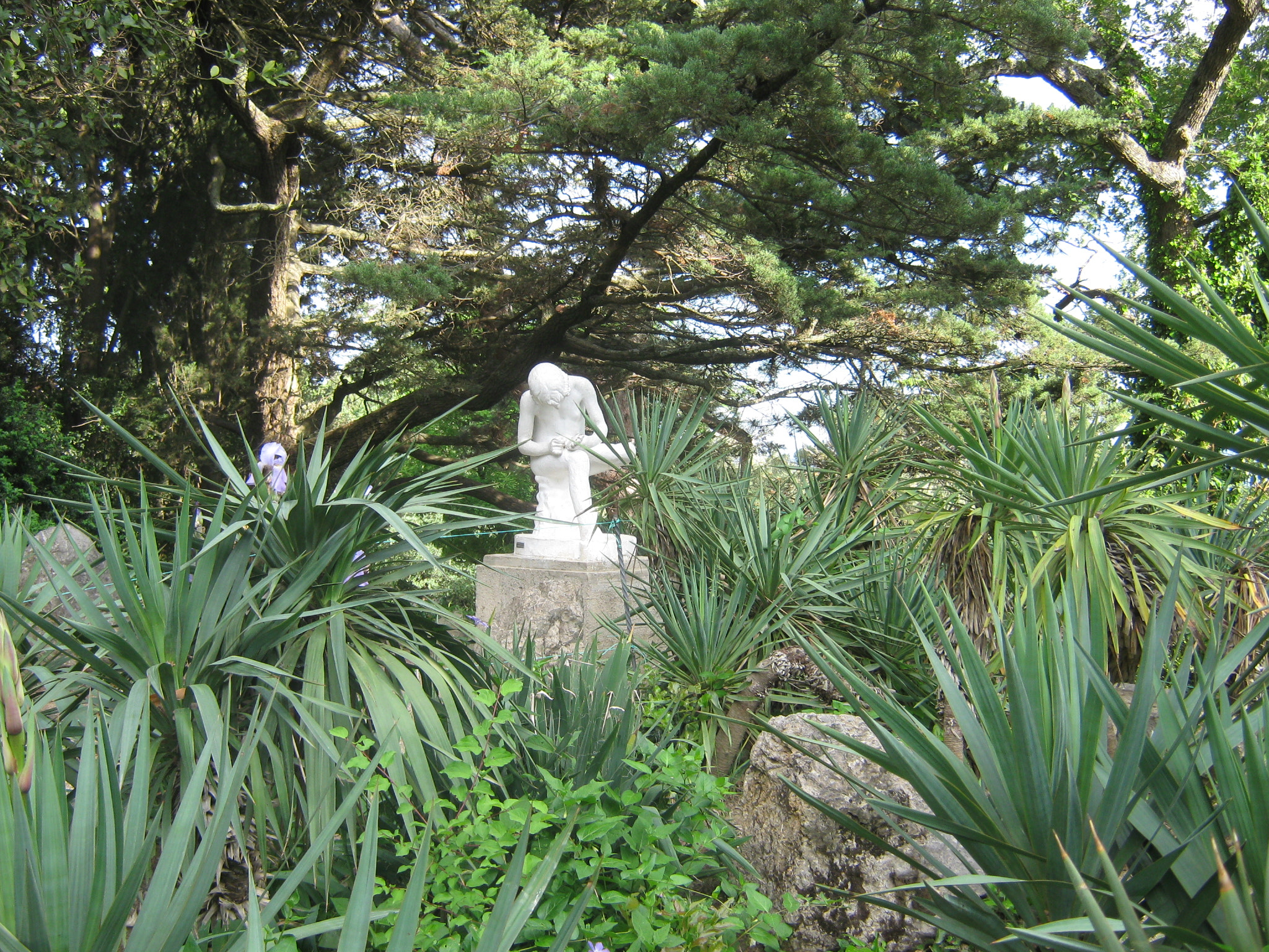Canon PowerShot A470 sample photo. Img photography