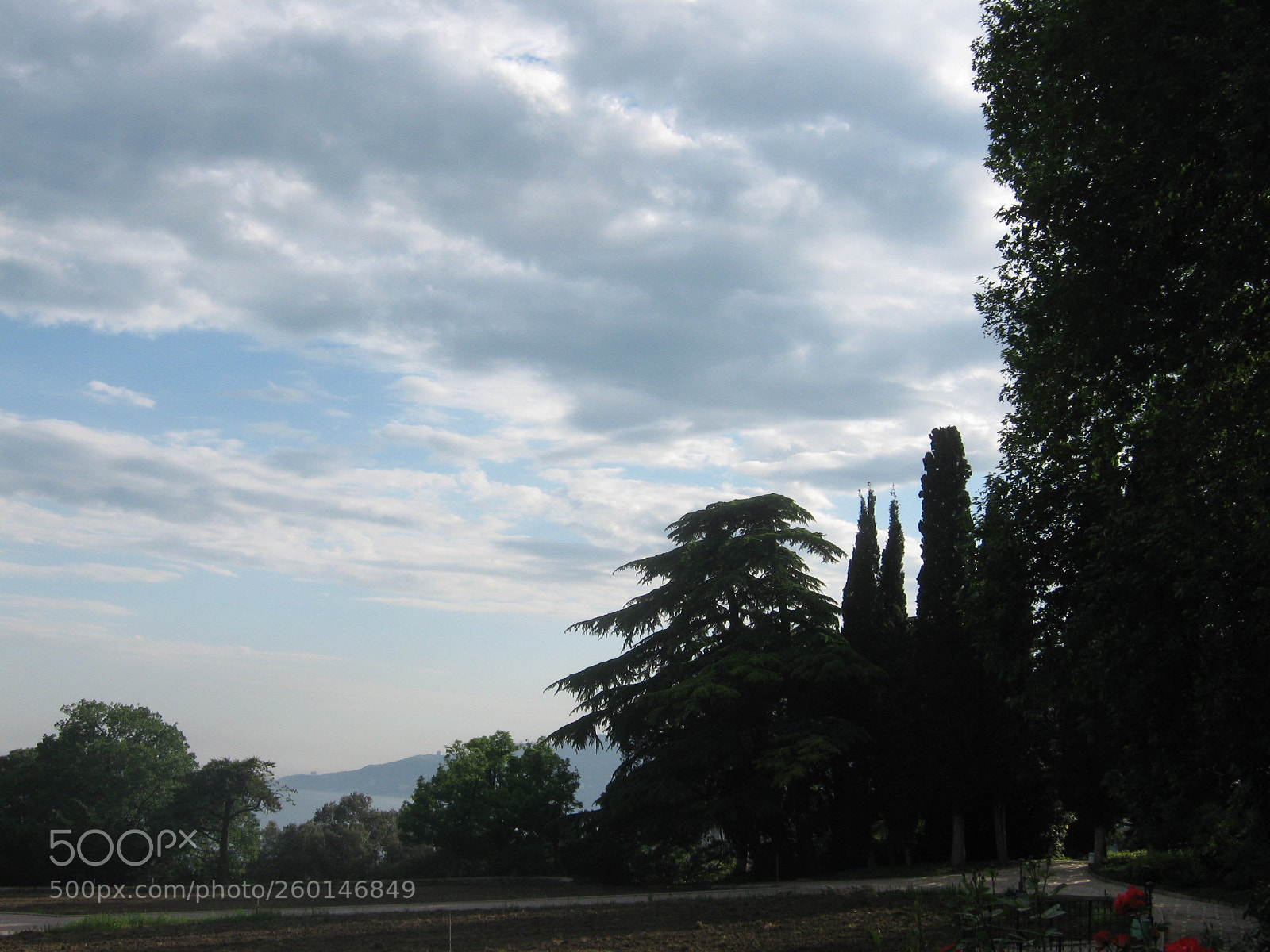 Canon PowerShot A470 sample photo. Img photography
