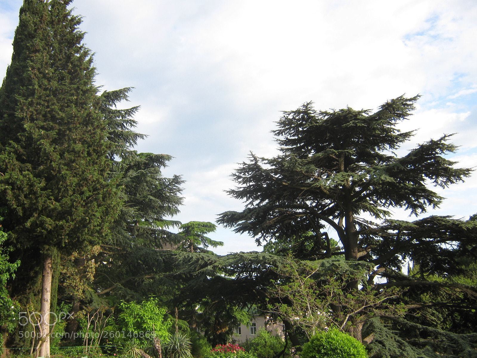 Canon PowerShot A470 sample photo. Img photography
