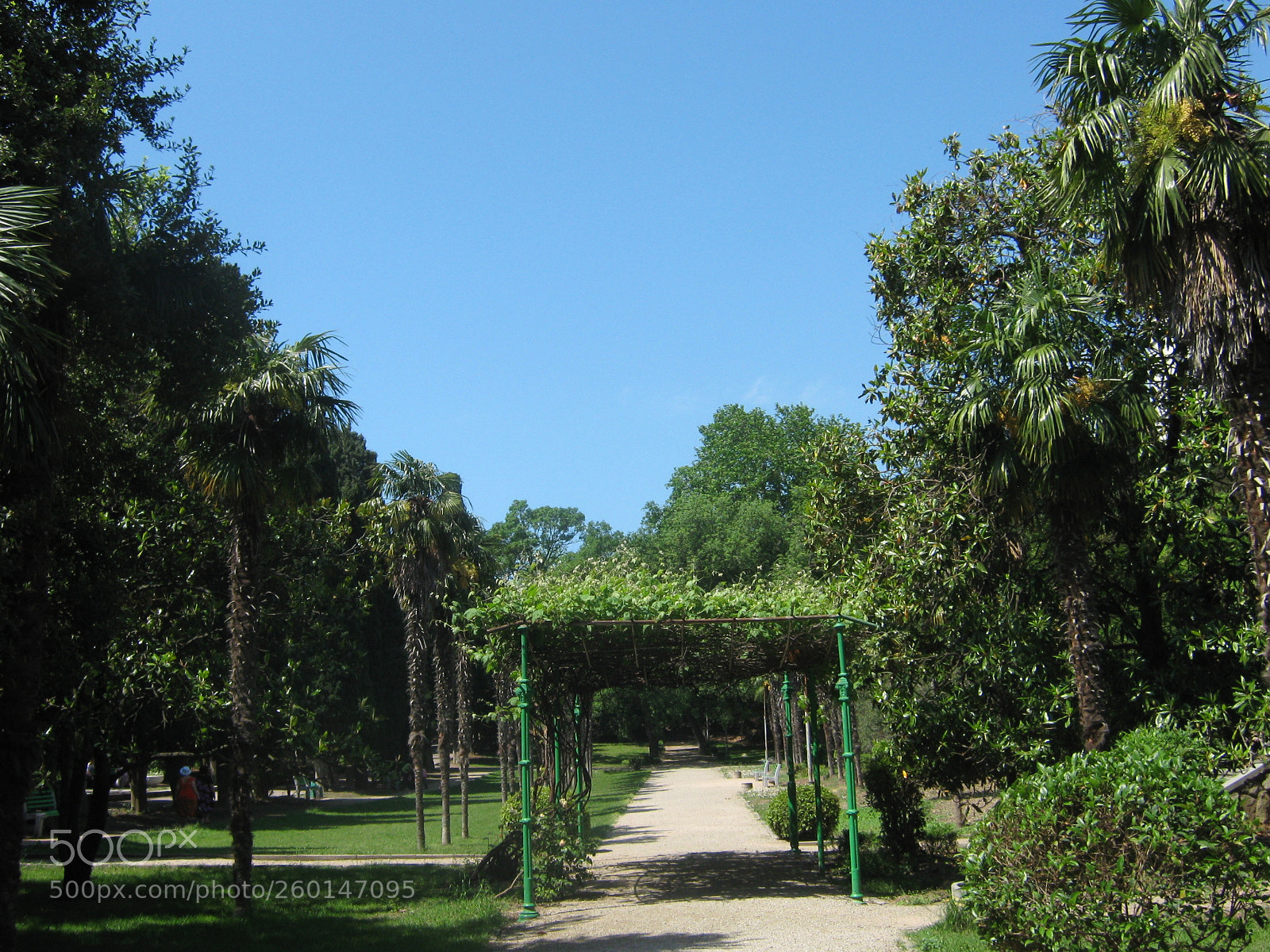 Canon PowerShot A470 sample photo. Img photography