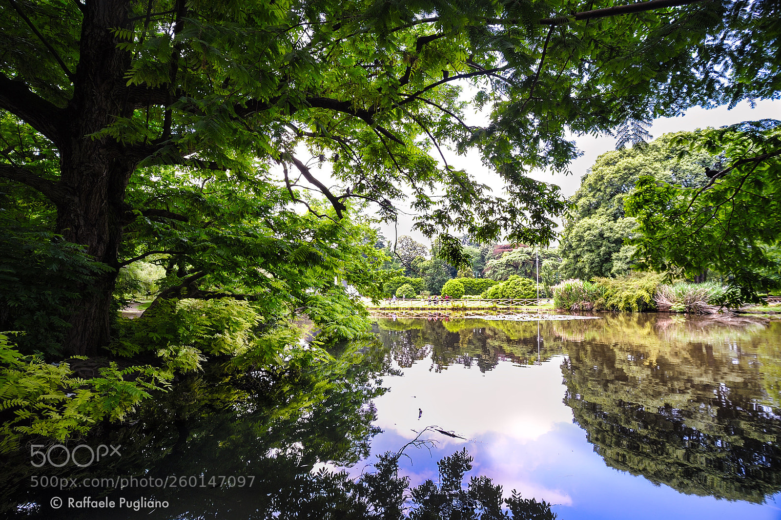 Nikon D3 sample photo. Sempione park photography