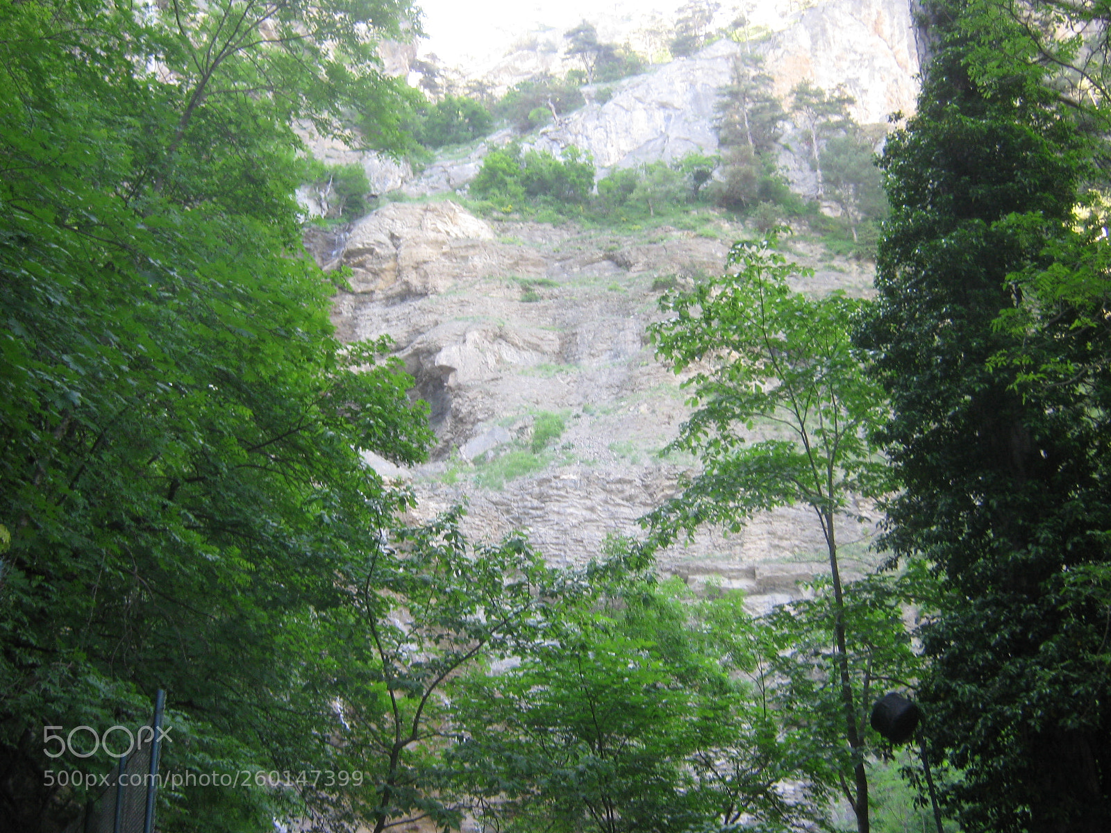 Canon PowerShot A470 sample photo. Img photography