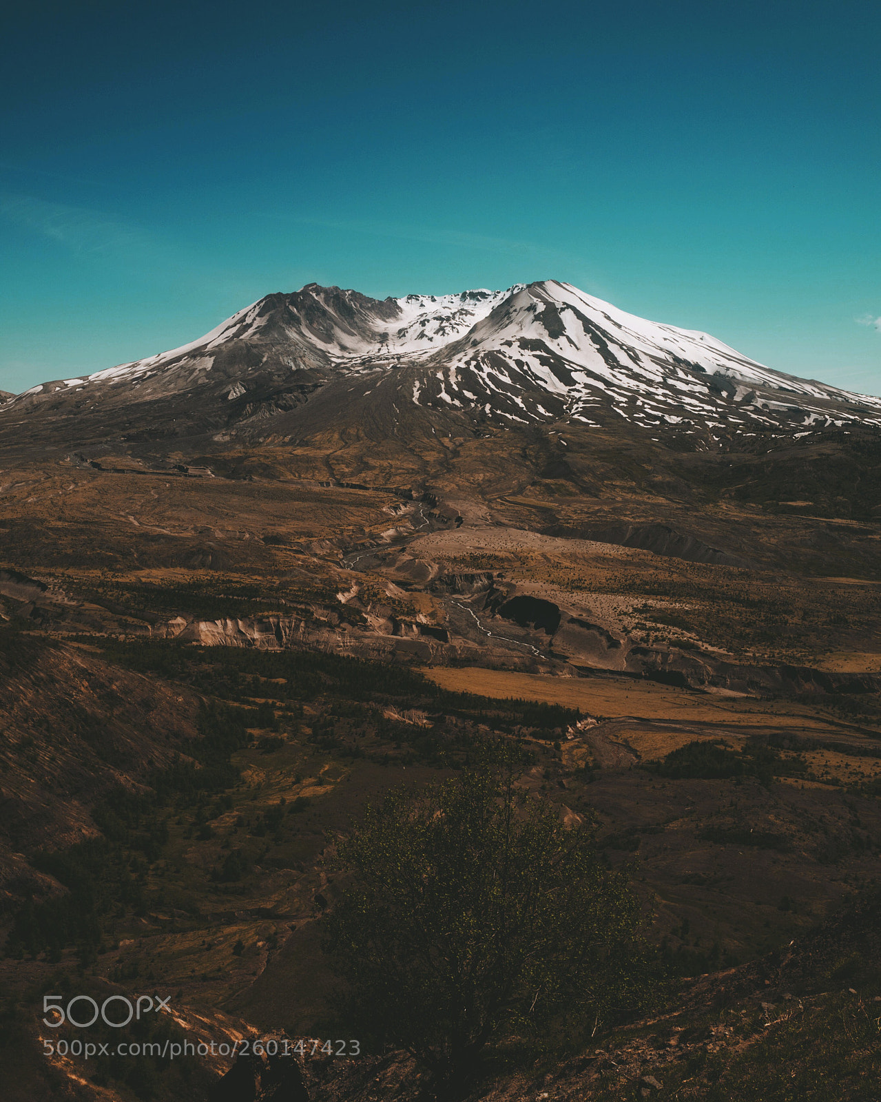 Leica Q (Typ 116) sample photo. Mt. st. helens from photography