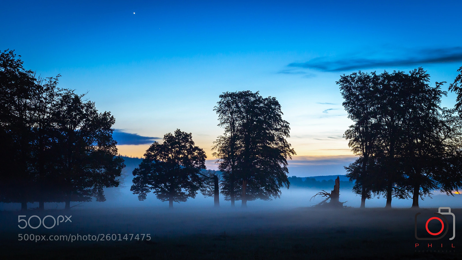 Canon EOS 6D sample photo. Nuit brumeuse photography