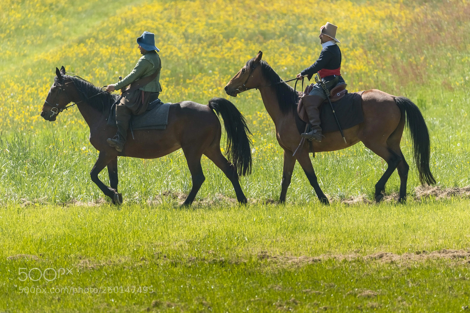 Nikon D800E sample photo. Balade d'autrefois photography