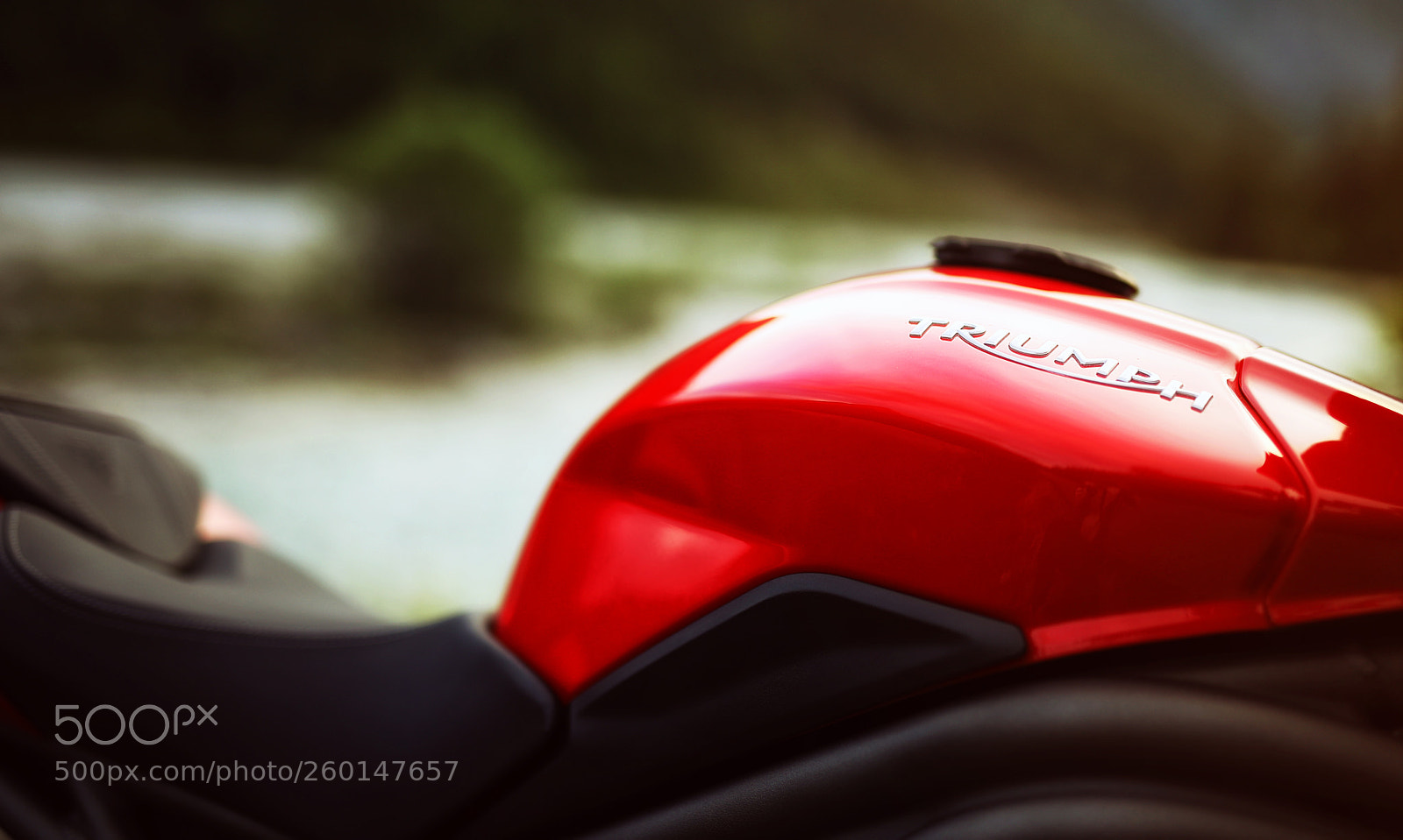 Canon EOS 6D Mark II sample photo. Triumph details photography