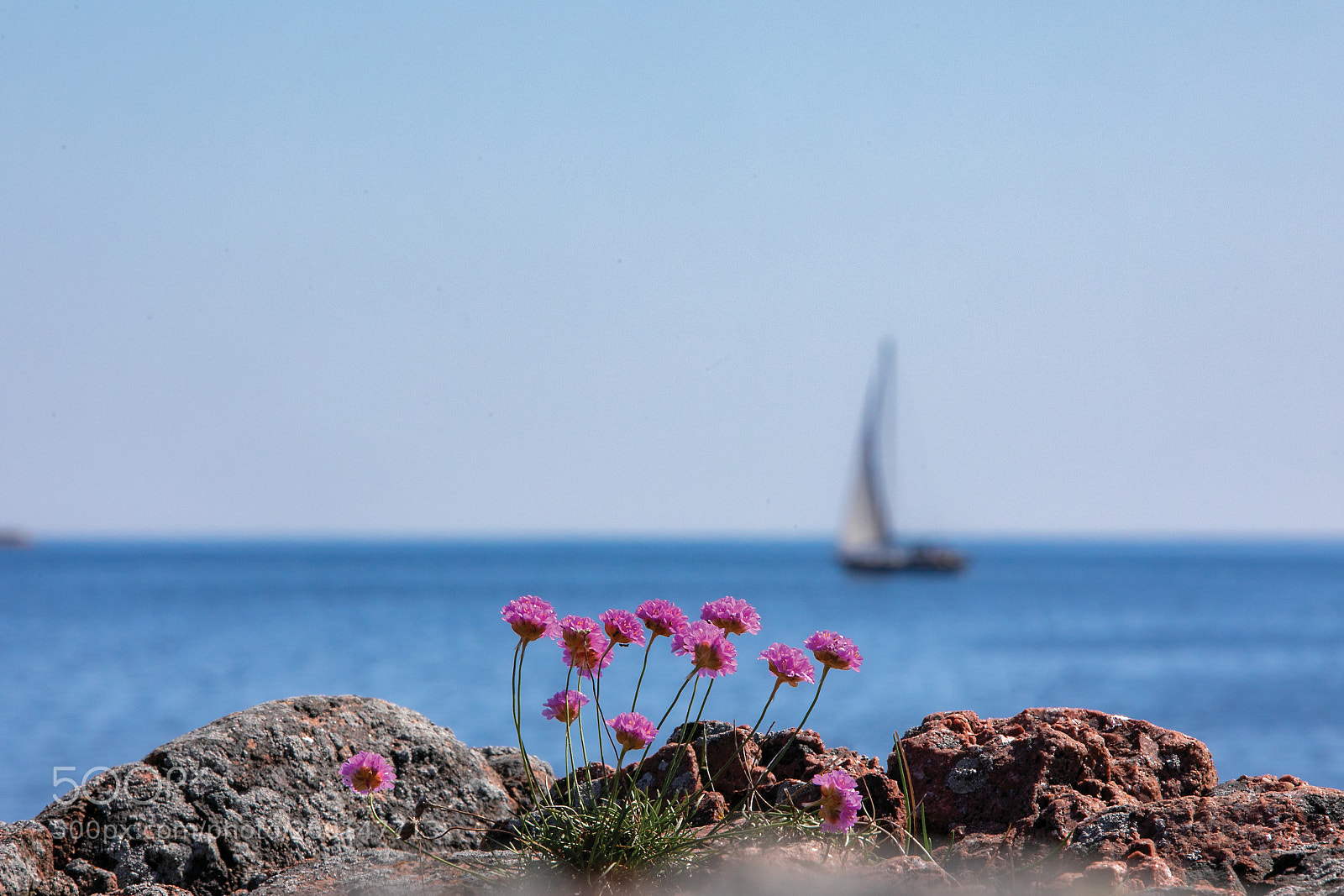 Canon EOS 5D Mark IV sample photo. Summertime photography