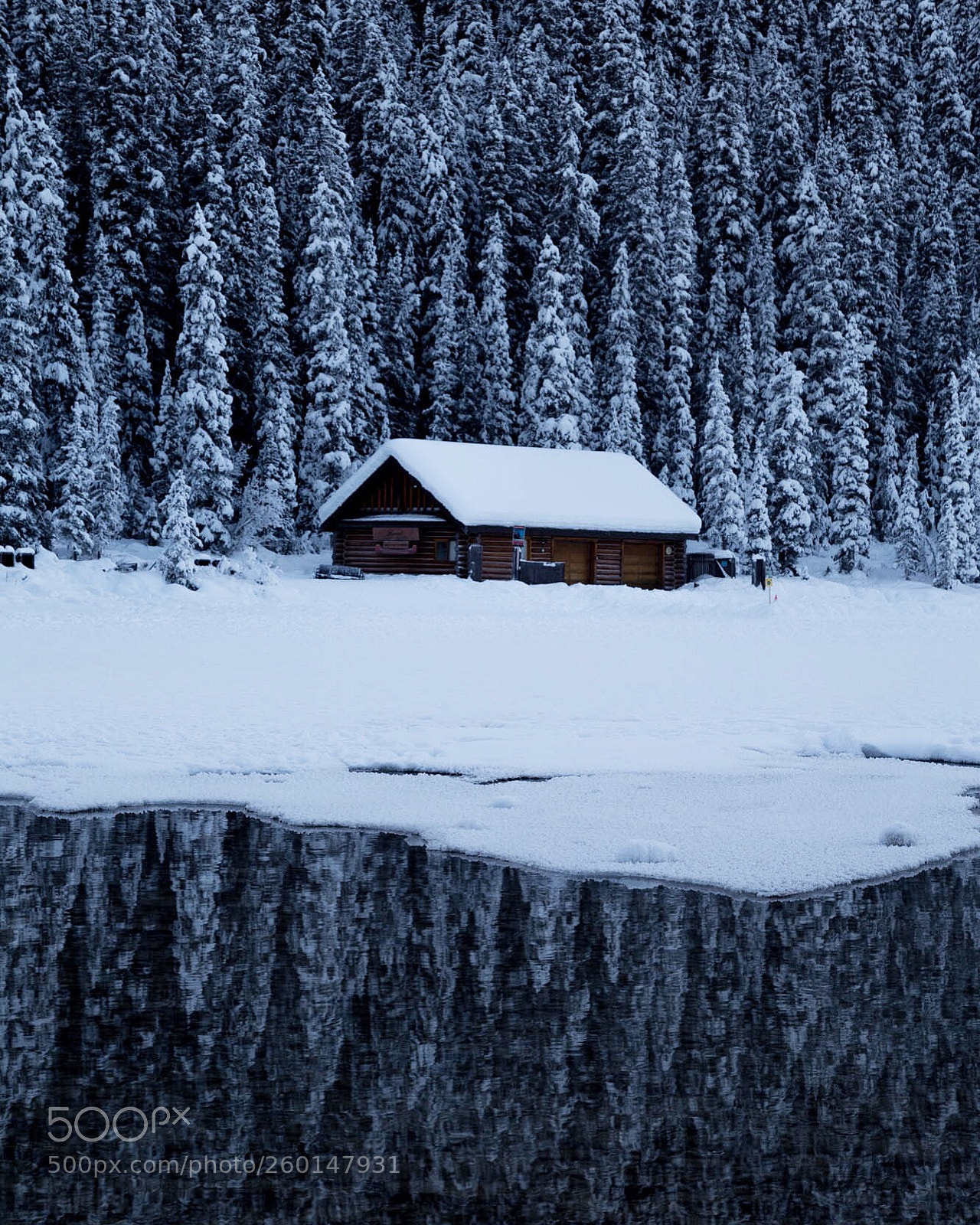 Canon EOS 6D sample photo. "cabin fever" photography
