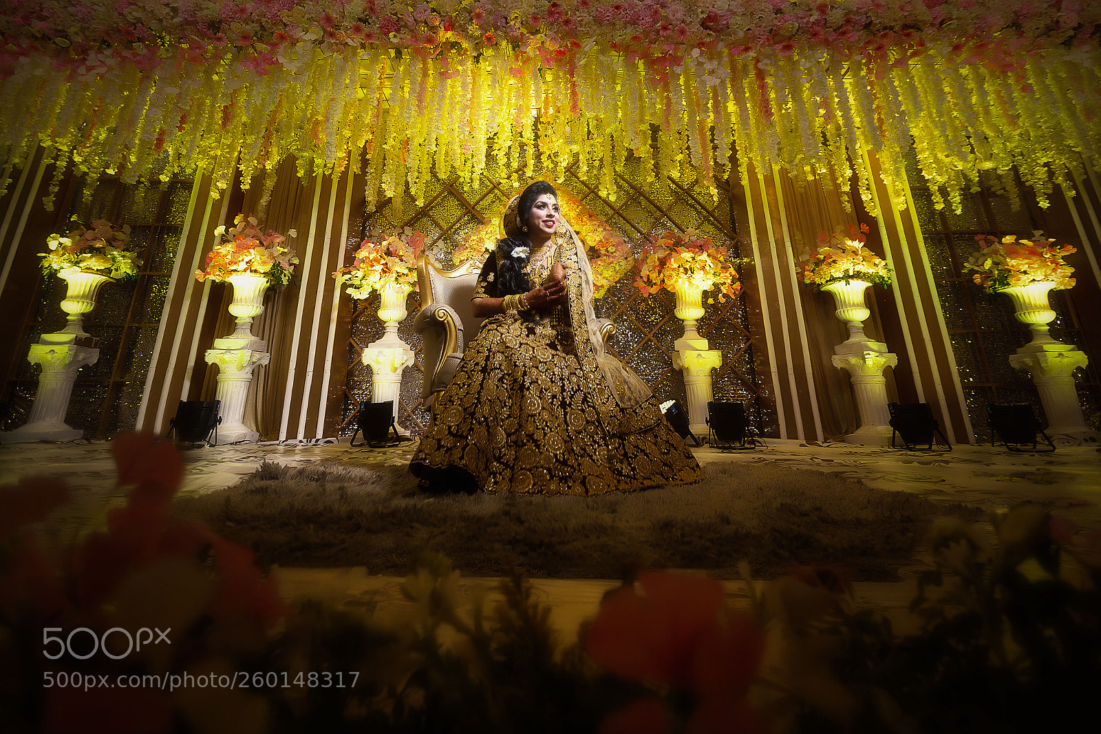 Canon EOS 6D sample photo. Img photography