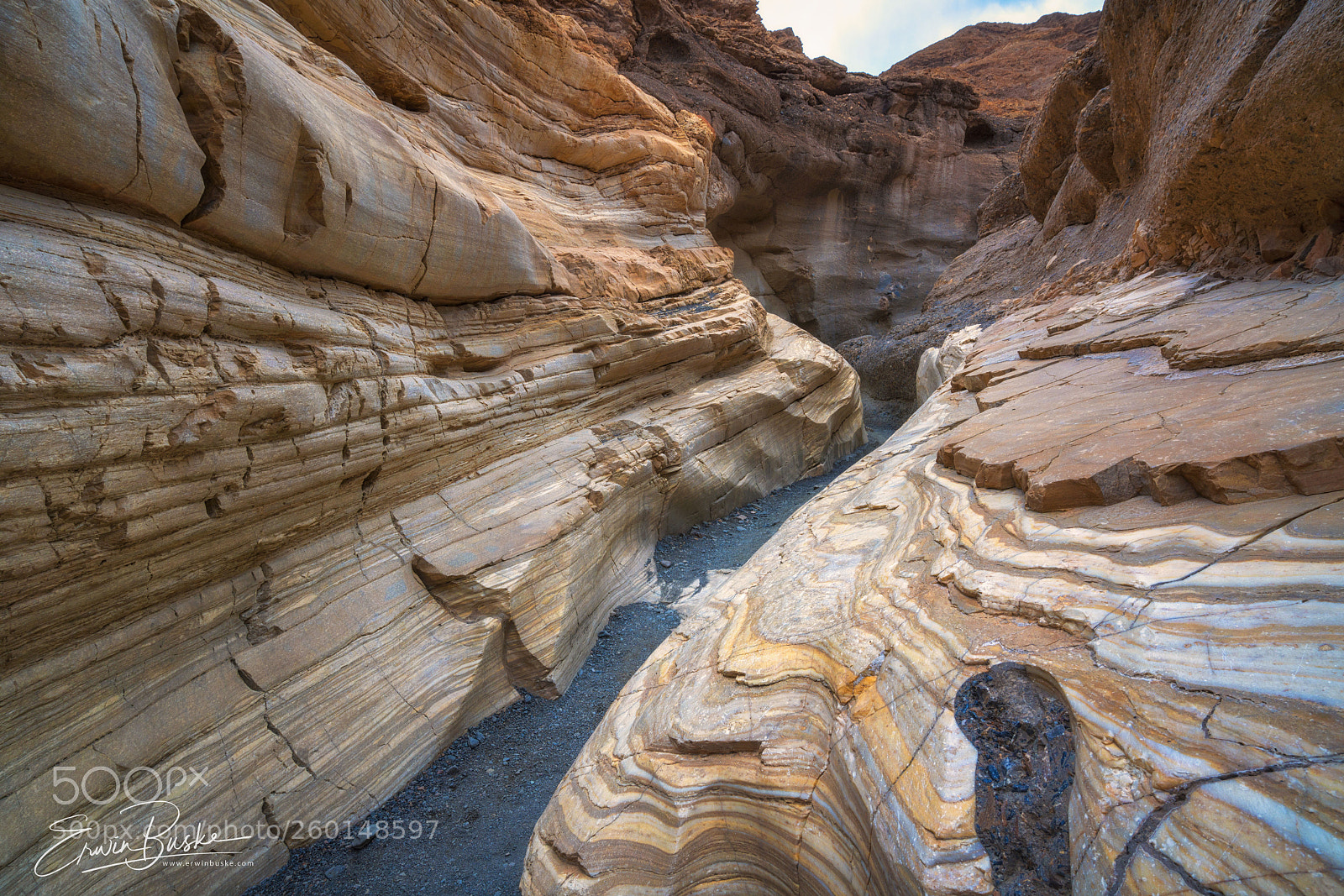 Sony a7R III sample photo. Mosaic canyon wooden grains photography