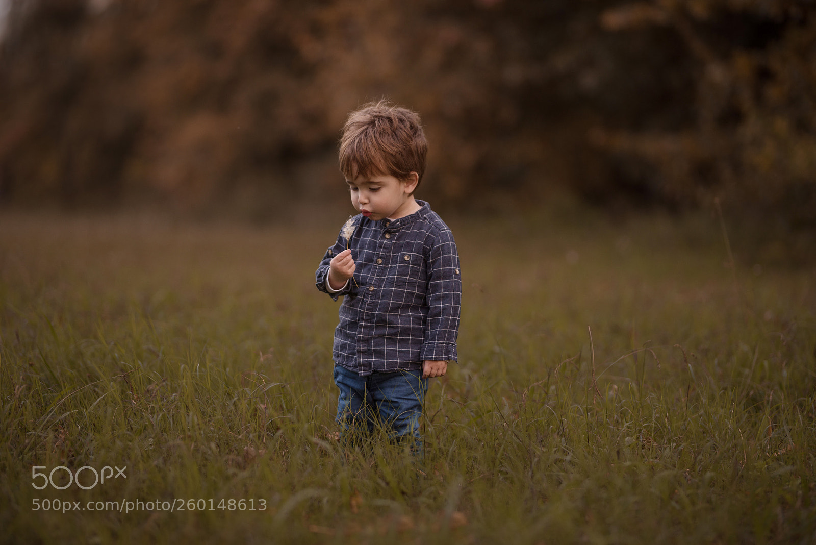 Nikon D750 sample photo. Lorenzo ♥ photography