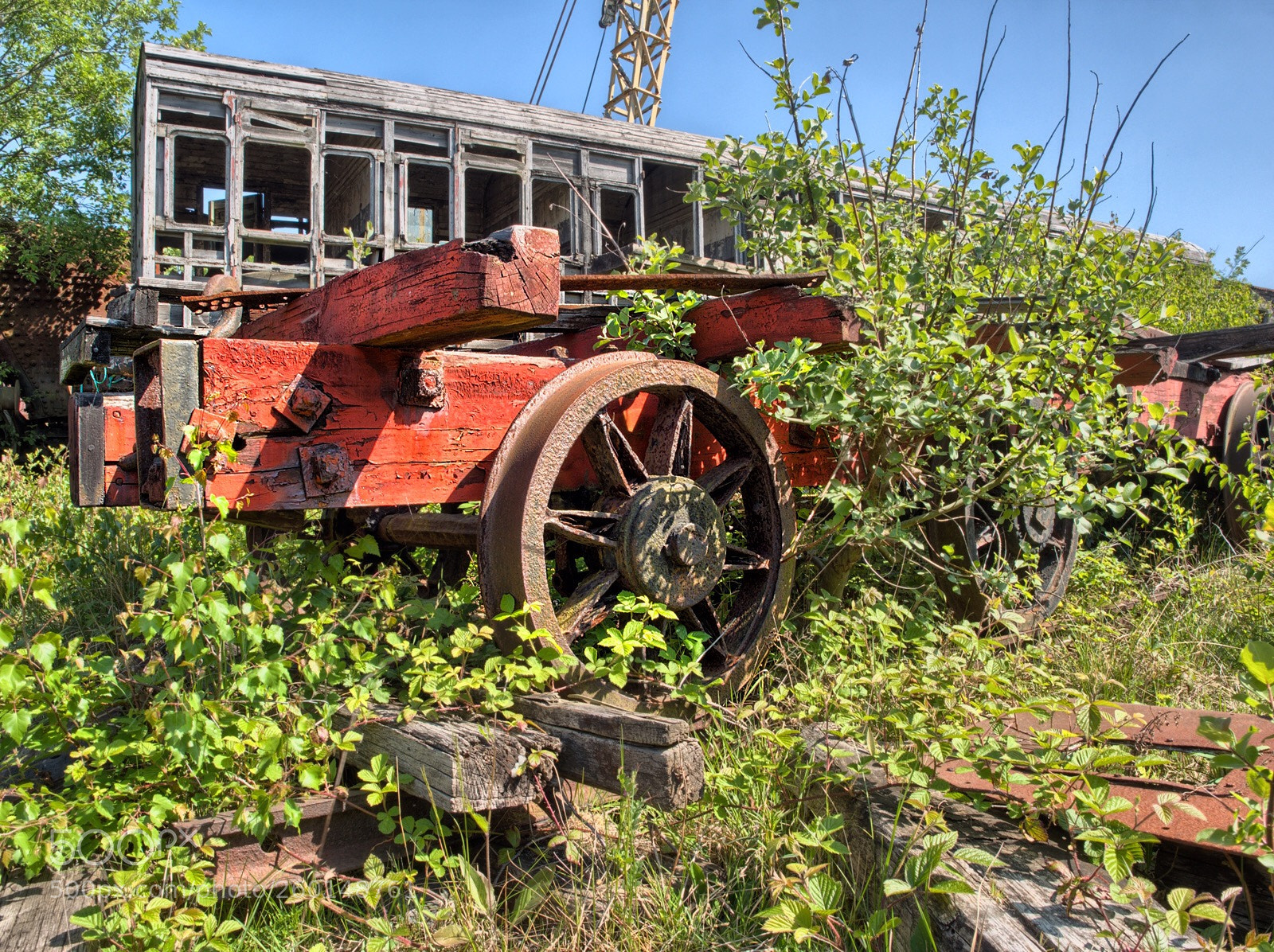 Olympus OM-D E-M1 sample photo. Nature reclaimed  photography