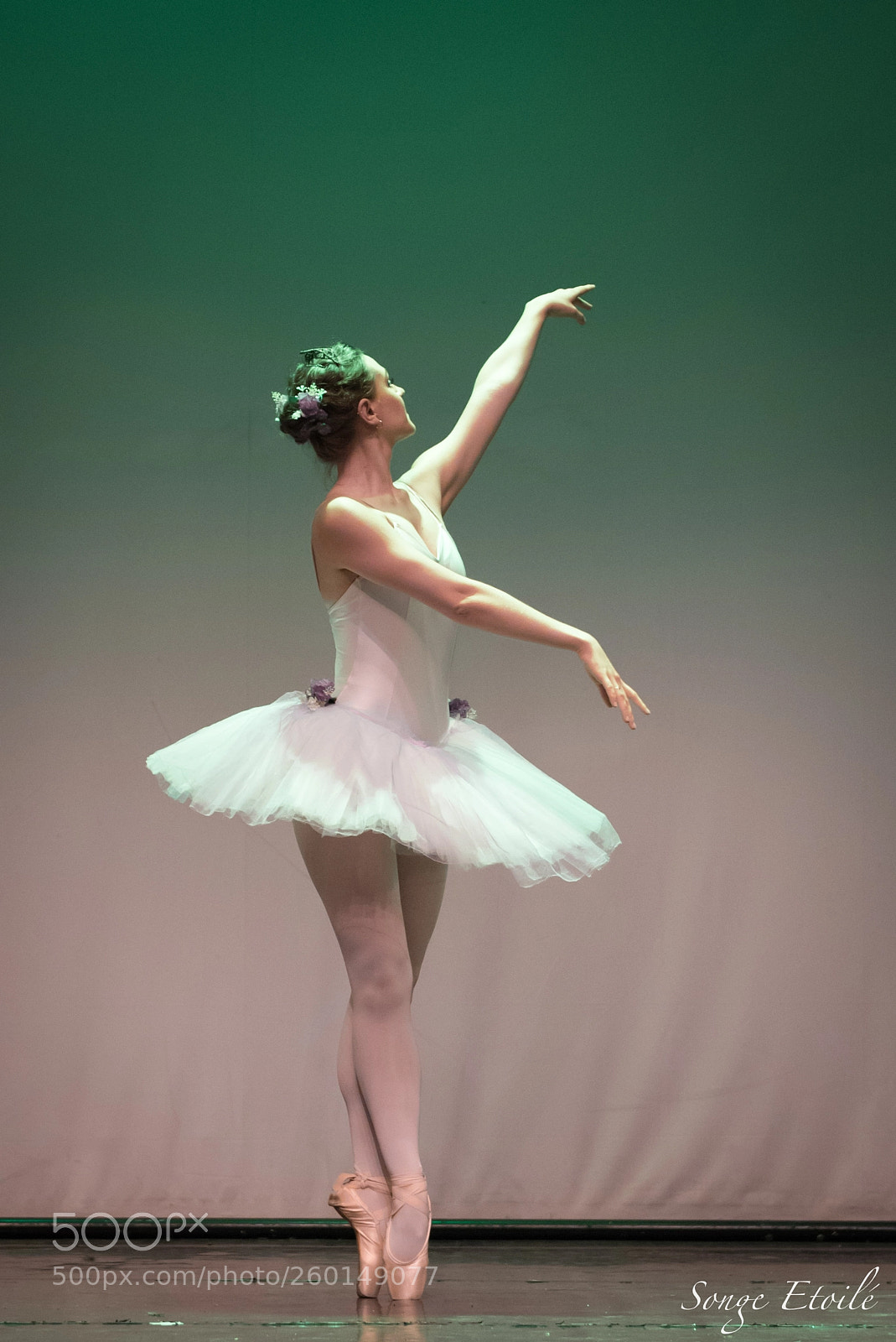 Nikon D750 sample photo. Floral ballerina photography