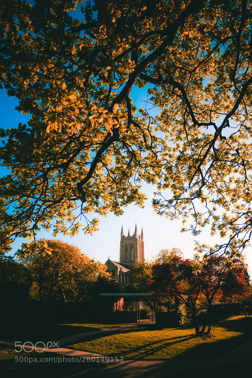 Nikon D800 sample photo. Abbey gardens  photography