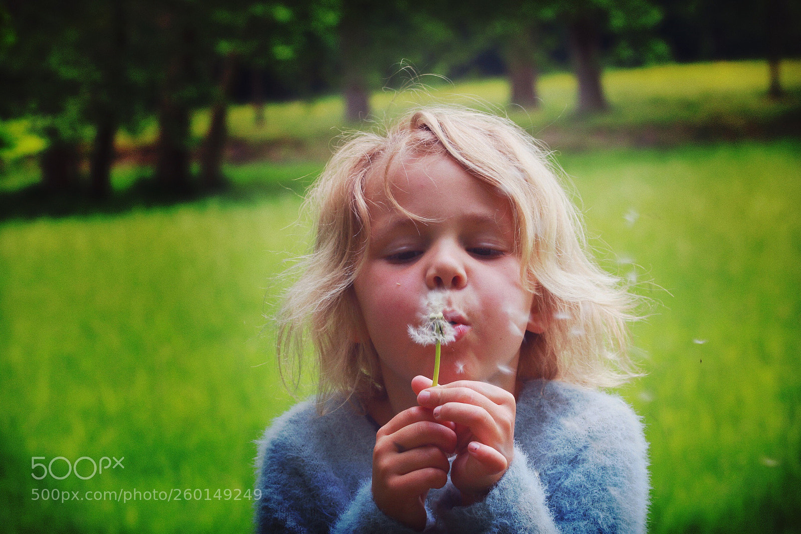 Canon EOS 70D sample photo. Untitled photography