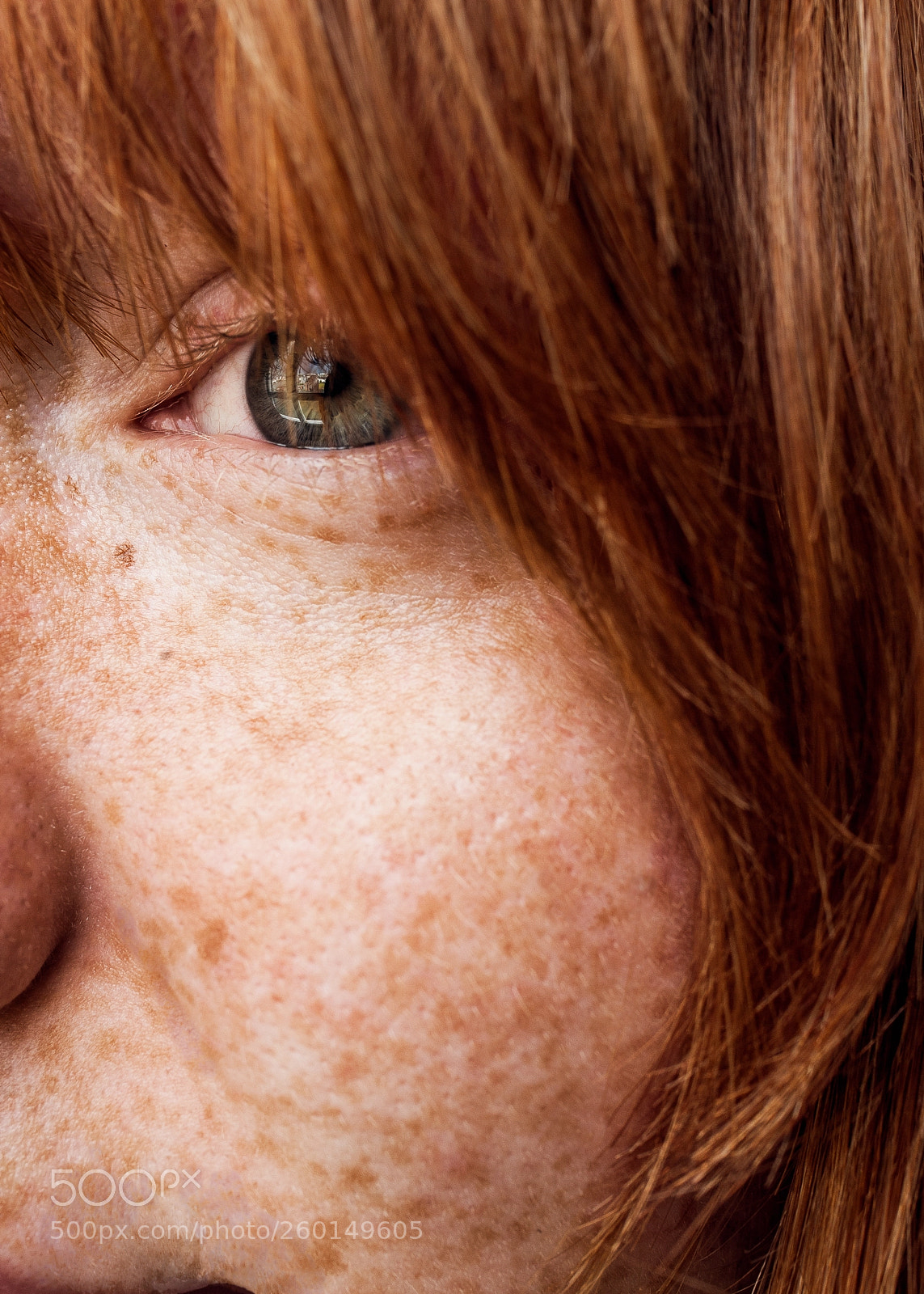 Nikon D700 sample photo. Ginger photography