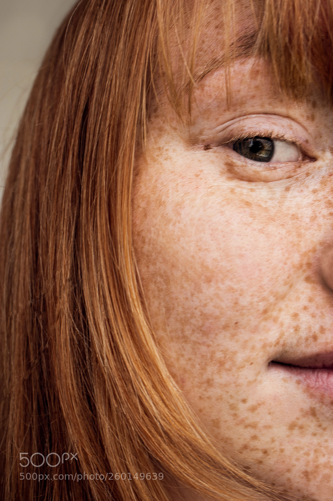 Nikon D700 sample photo. Ginger photography
