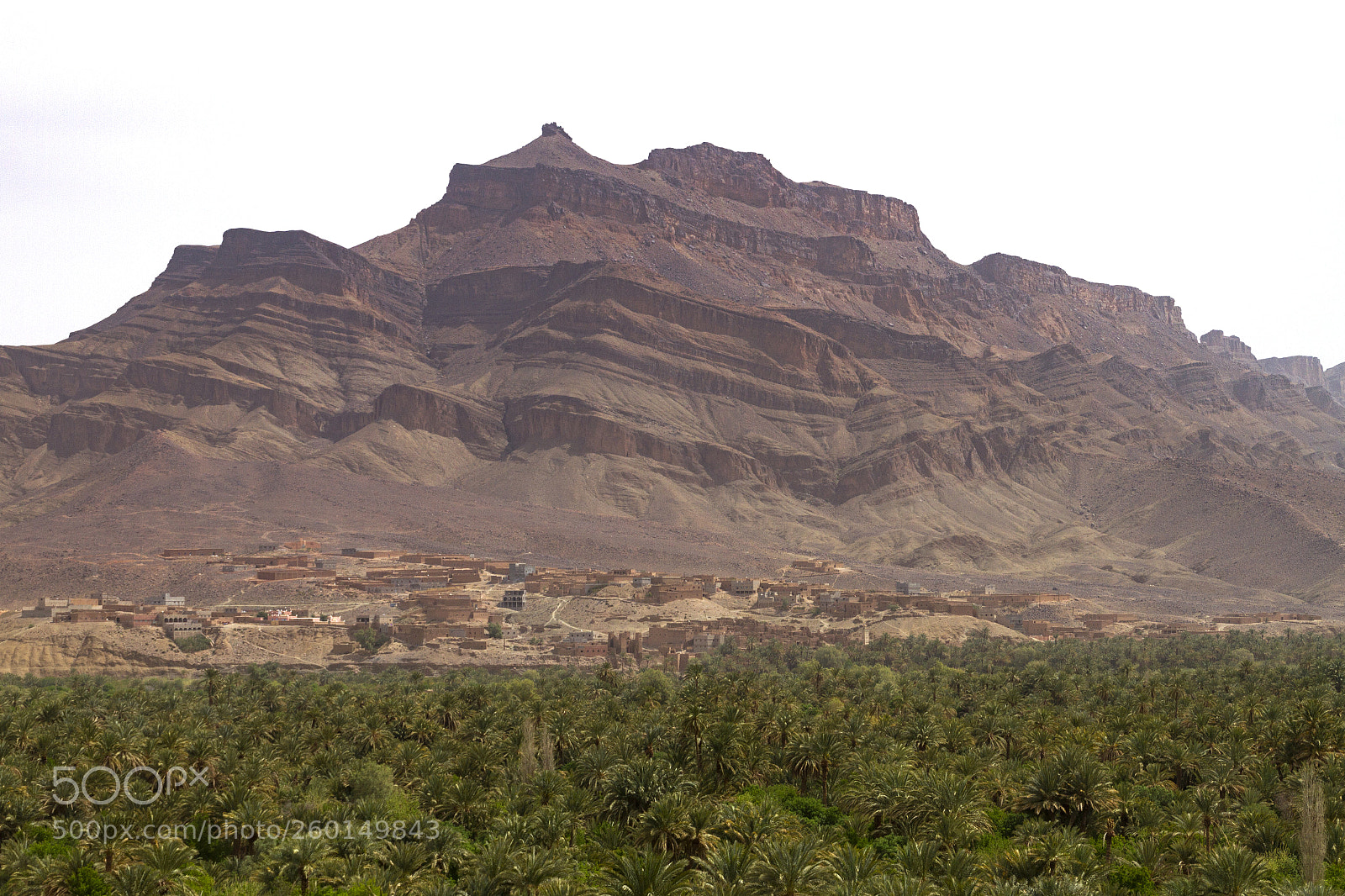 Canon EOS 7D sample photo. 2018-4110.jpg photography