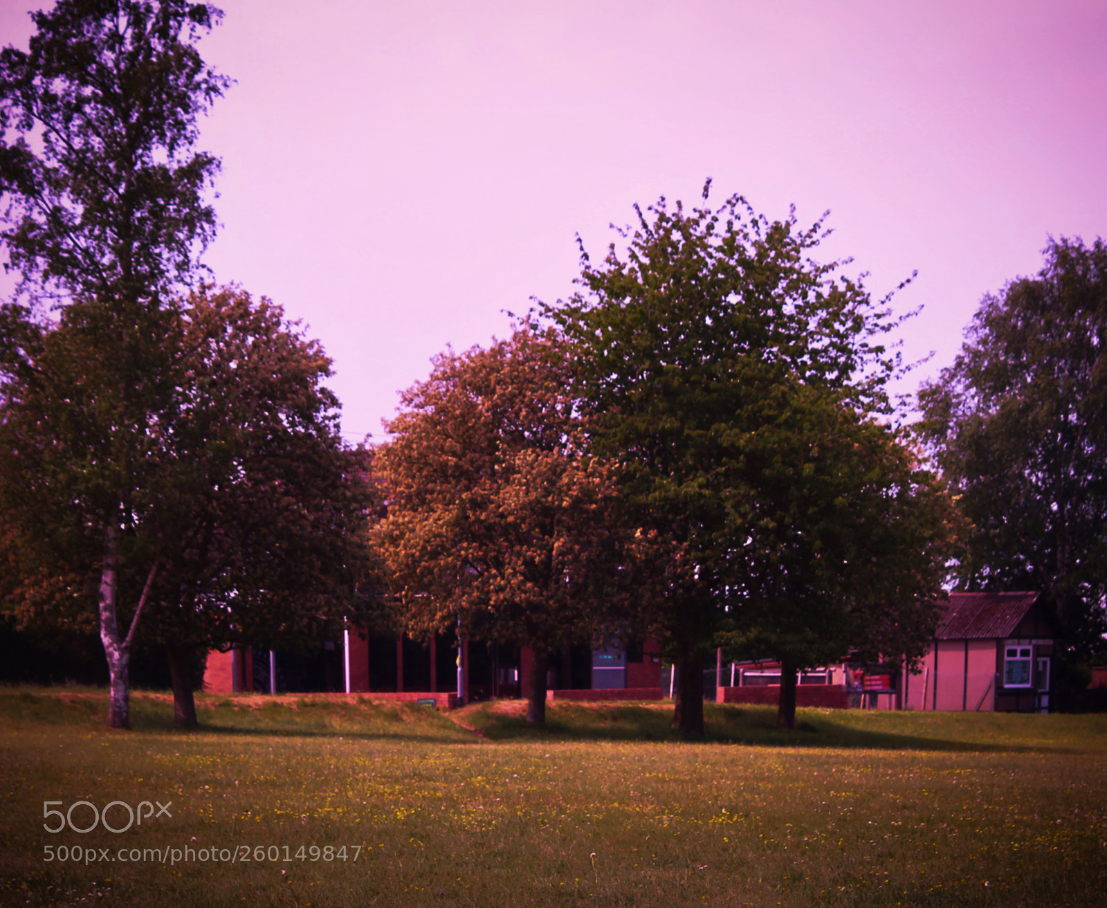 Canon EOS 700D (EOS Rebel T5i / EOS Kiss X7i) sample photo. On milford common photography