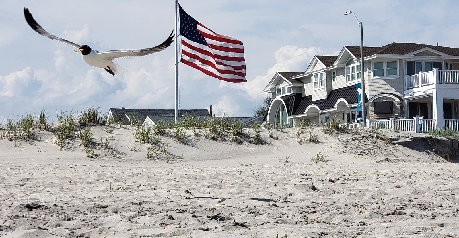 Samsung Galaxy S9+ sample photo. Memorial day photography