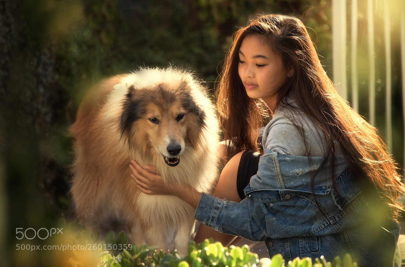 Nikon D810 sample photo. Untitled photography