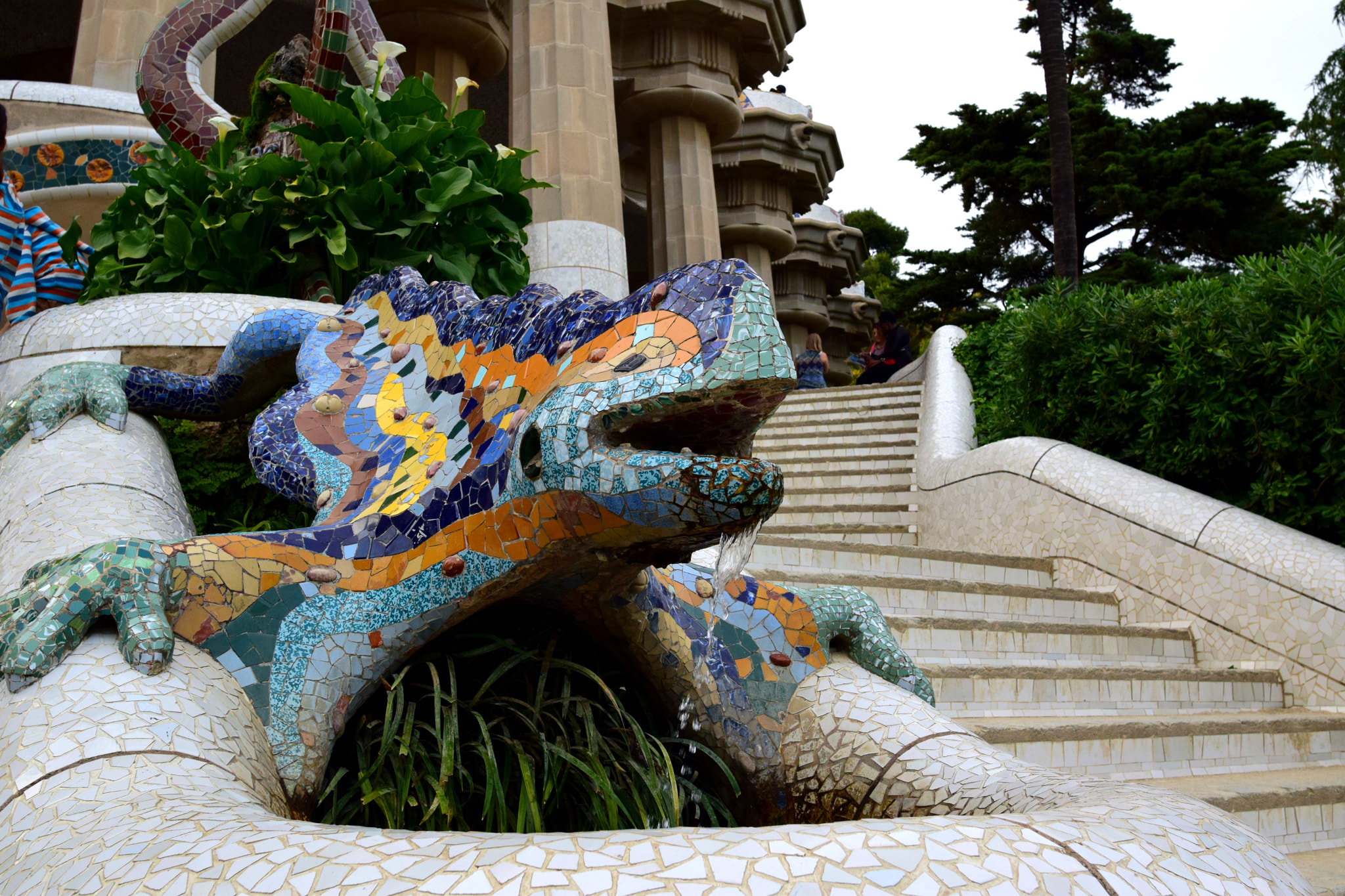 Nikon D3300 + Nikon AF-S Nikkor 20mm F1.8G ED sample photo. Guell park photography