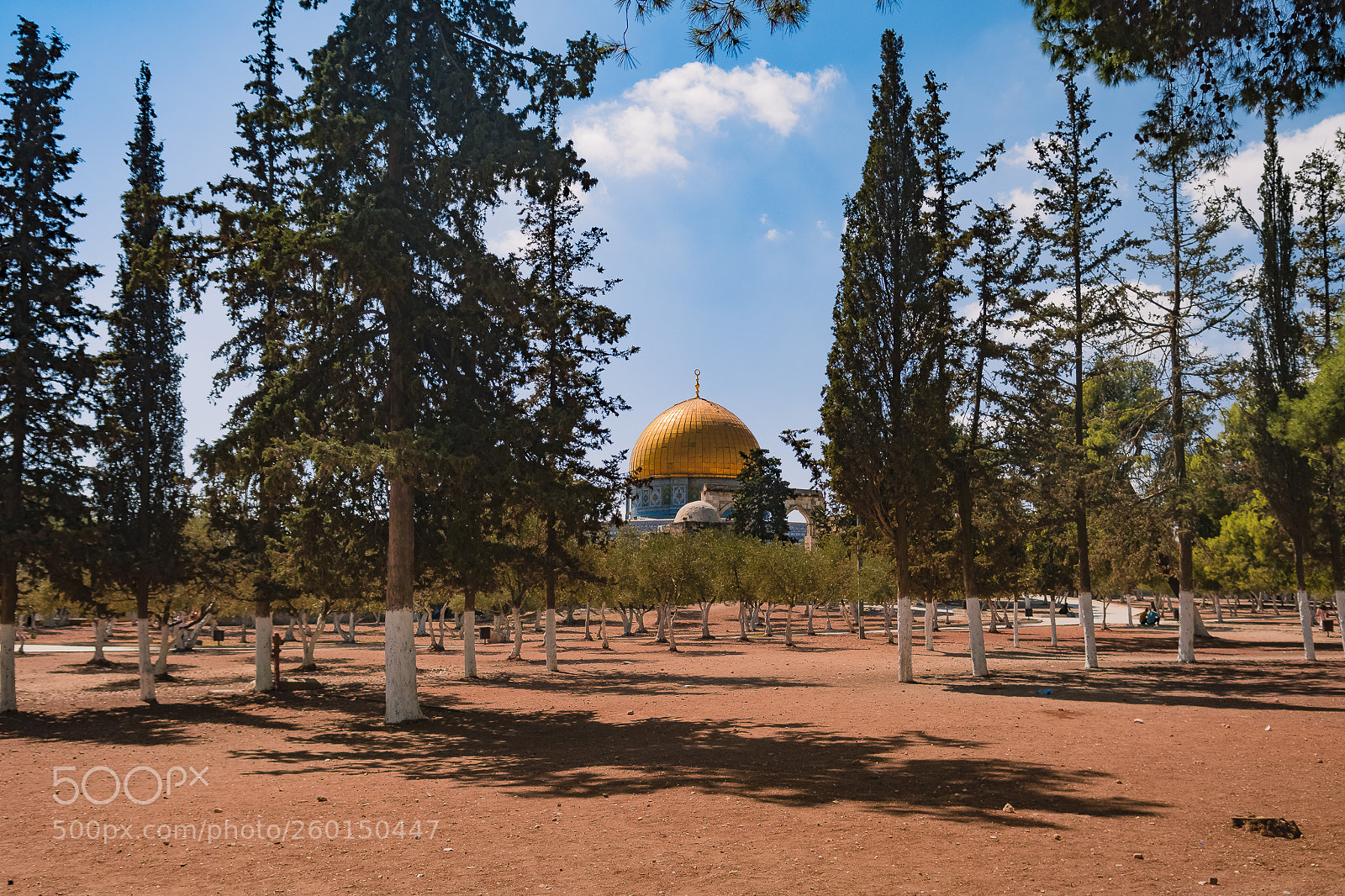 Nikon D7100 sample photo. Aqsa and tree photography