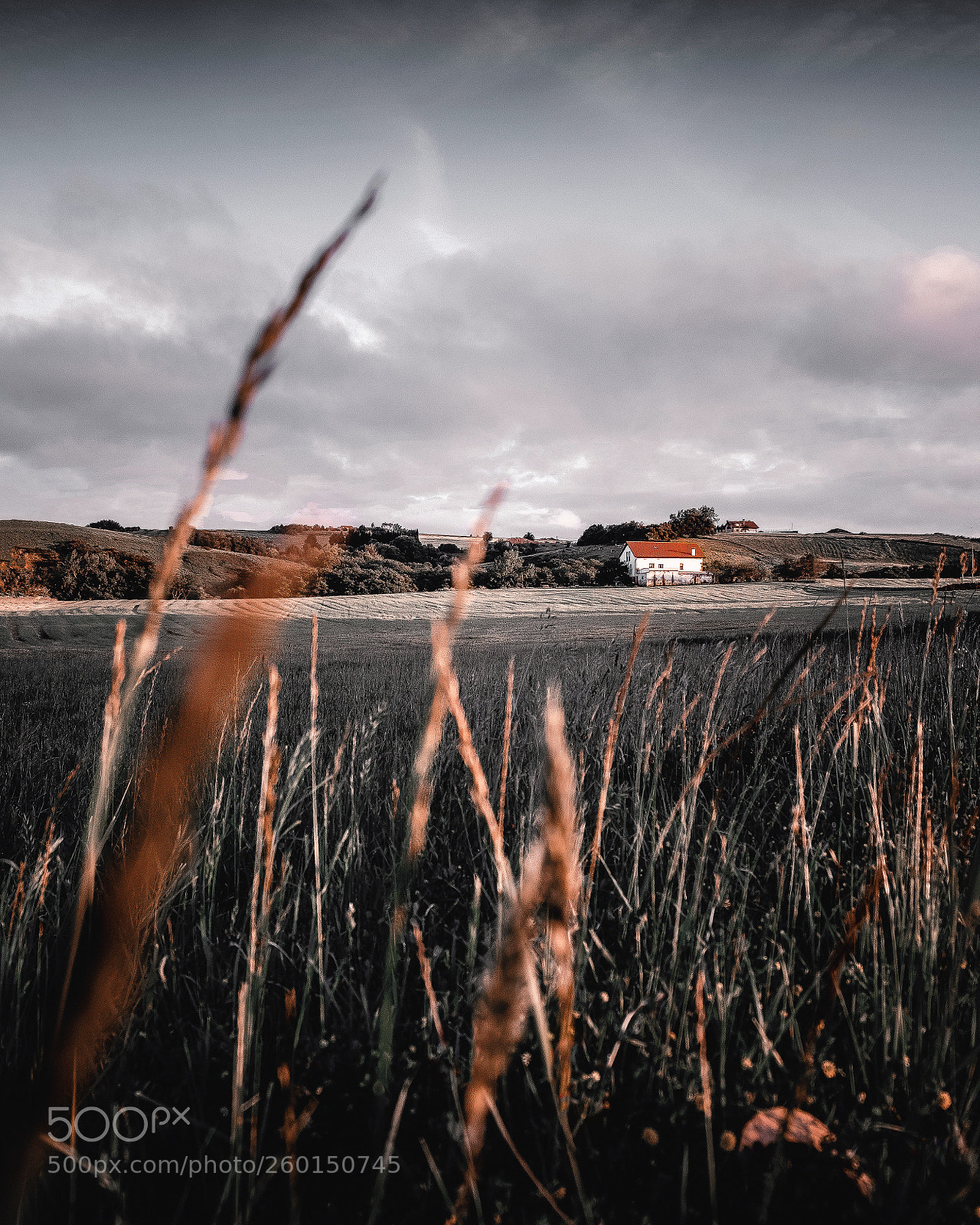 Fujifilm X-T2 sample photo. Nature photography