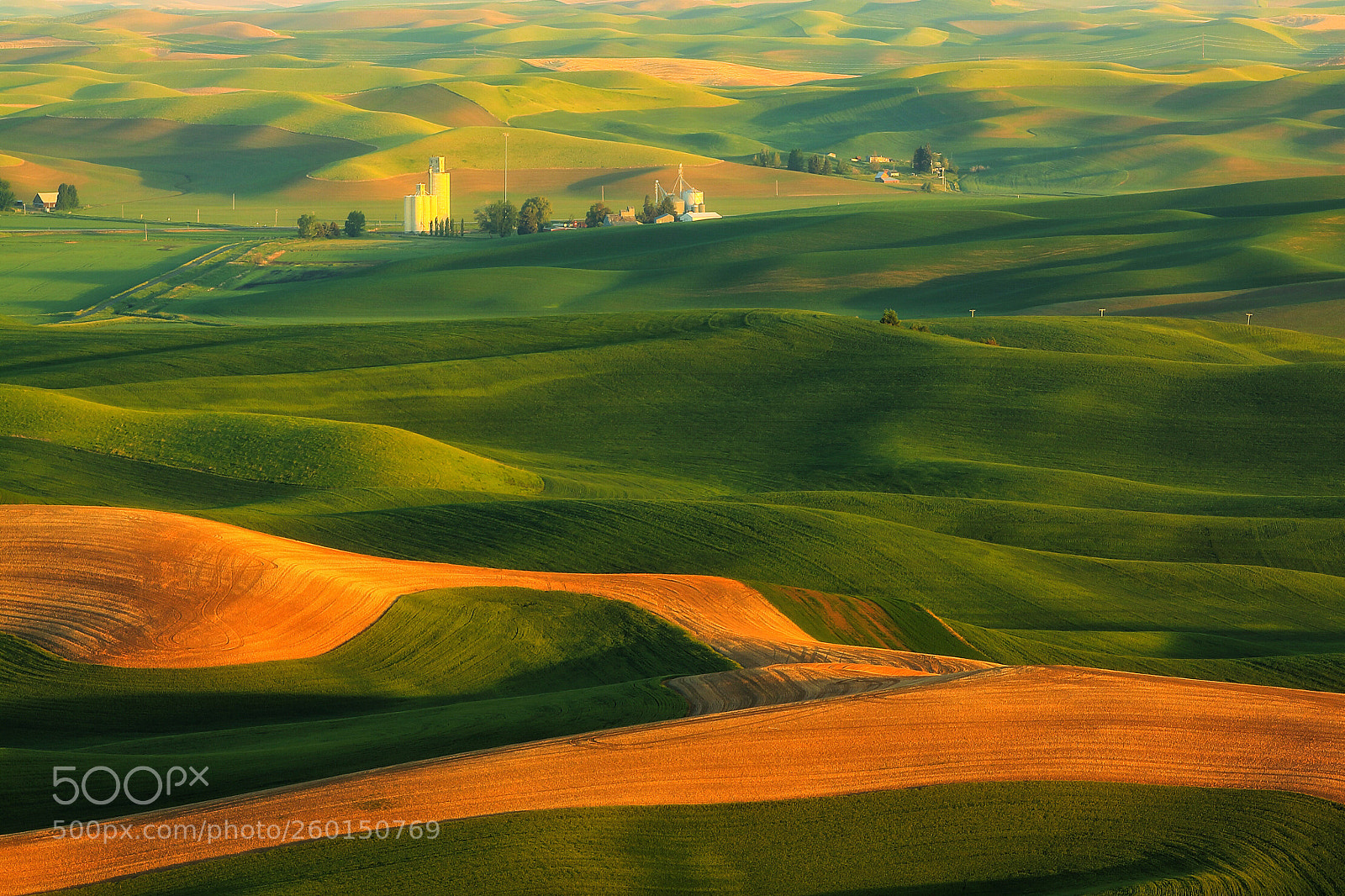 Canon EOS 50D sample photo. The rolling hills of photography
