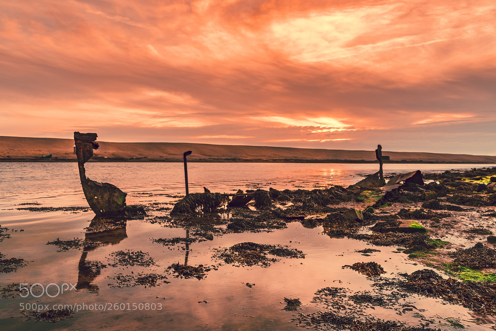 Nikon D750 sample photo. Tide exposes photography