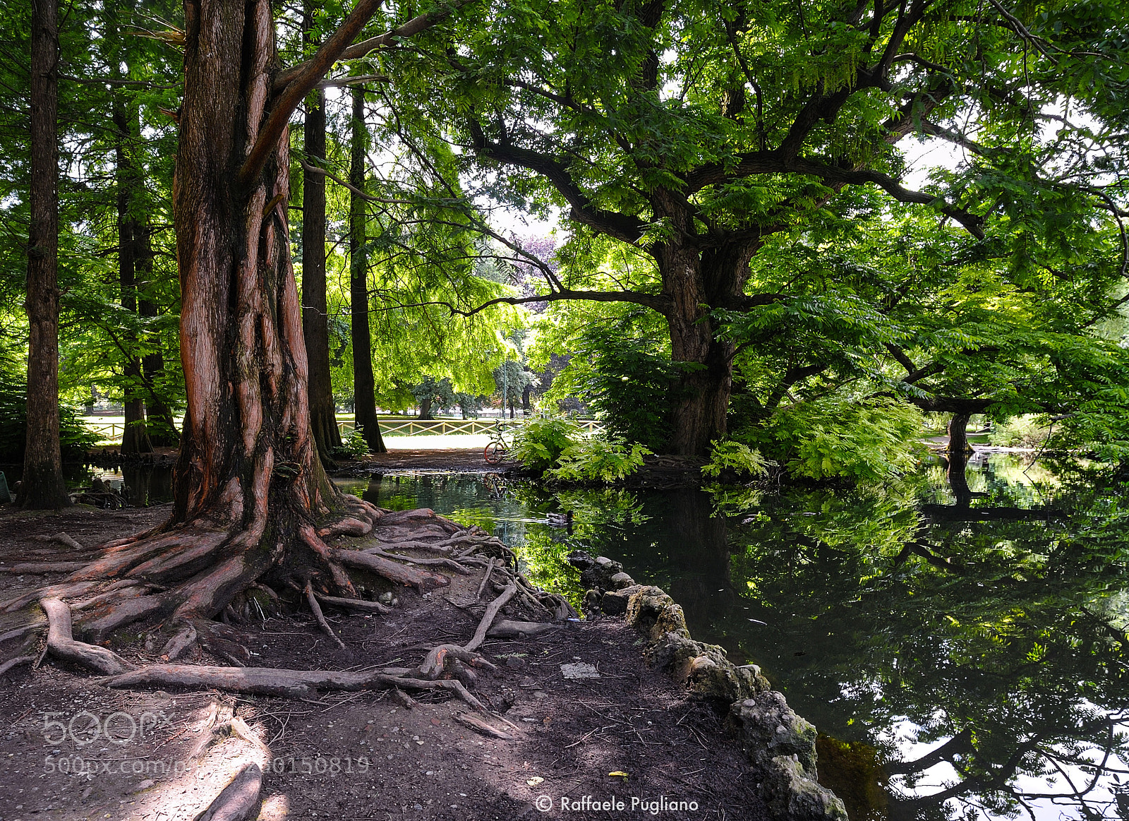 Nikon D3 sample photo. Sempione park photography