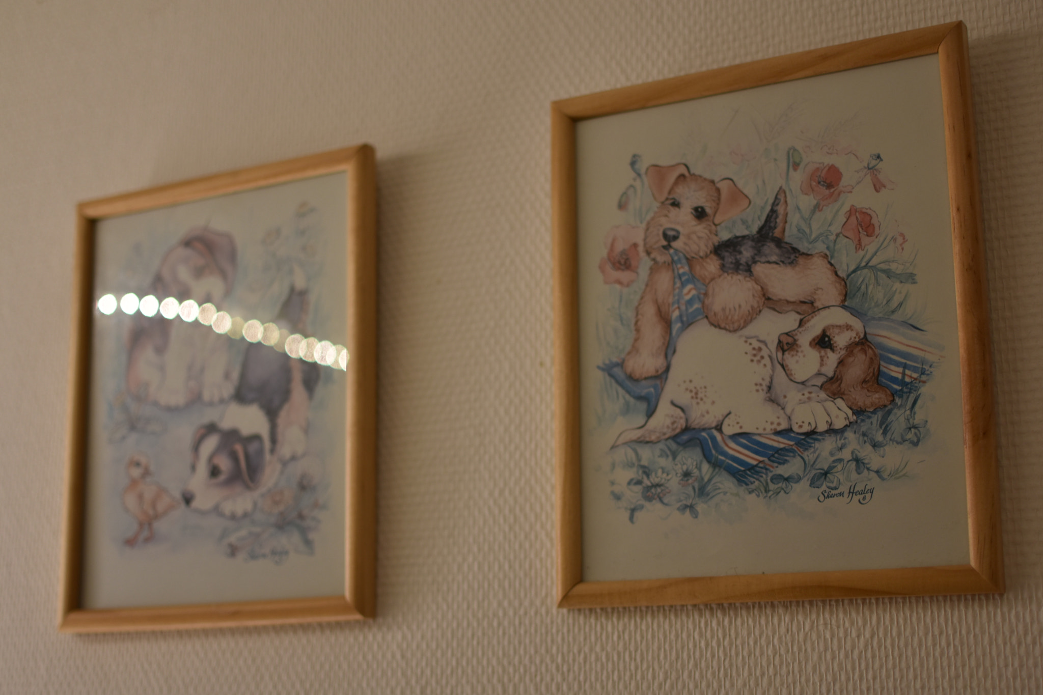 Nikon AF-S DX Nikkor 35mm F1.8G sample photo. Puppy prints photography