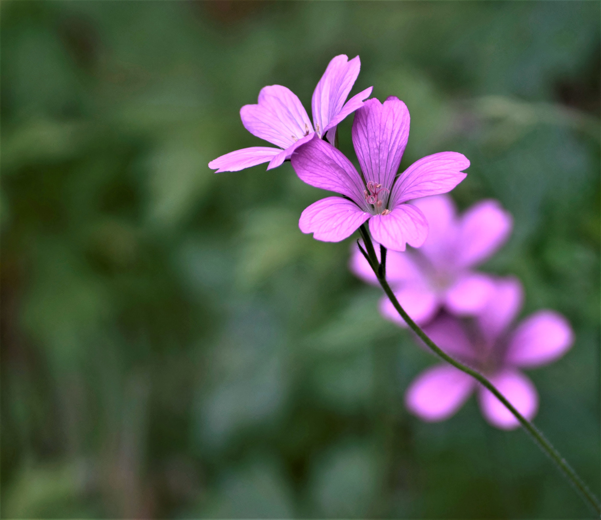 Nikon D5300 sample photo. "out into the world..." photography