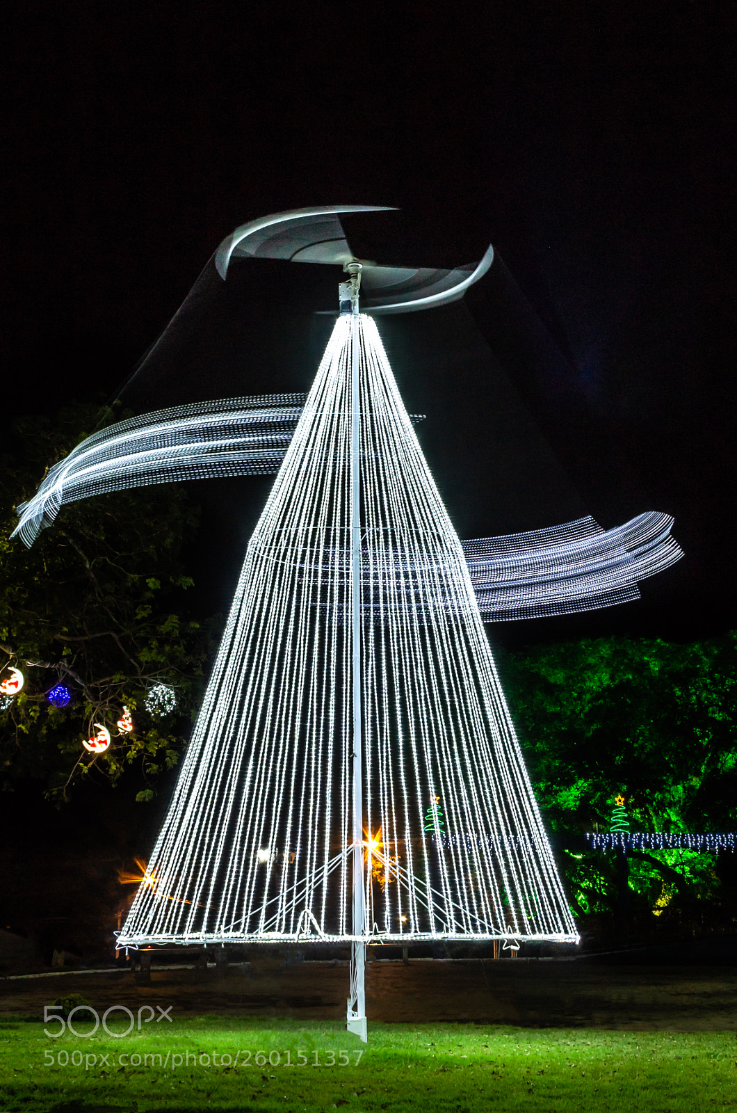 Canon EOS 1200D (EOS Rebel T5 / EOS Kiss X70 / EOS Hi) sample photo. A christmas tree photography