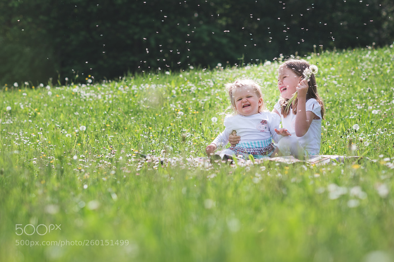 Nikon D500 sample photo. Familienshooting drei generationen photography