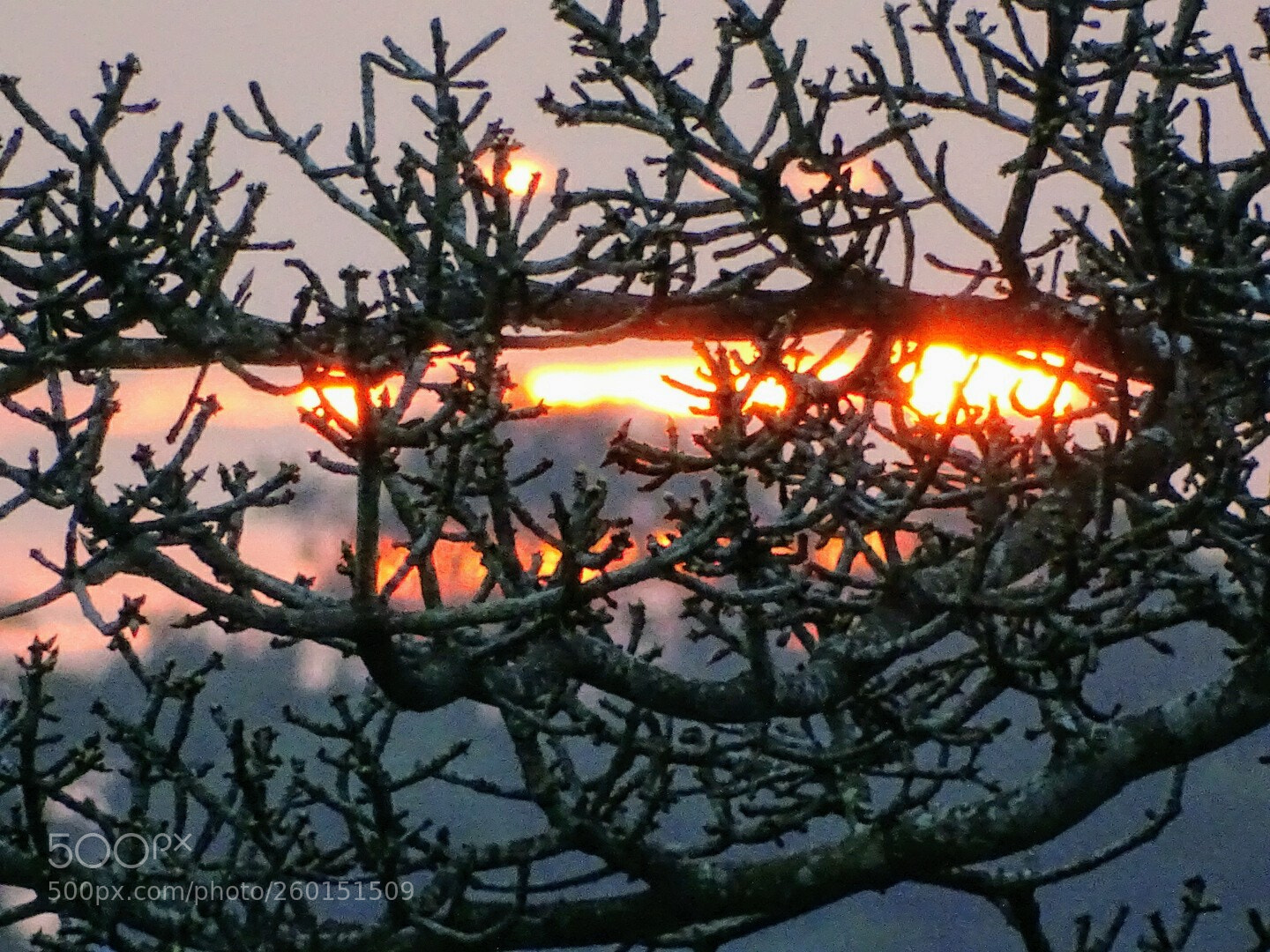 Sony Cyber-shot DSC-HX400V sample photo. Sunset in the jungle photography